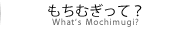もちむぎって？